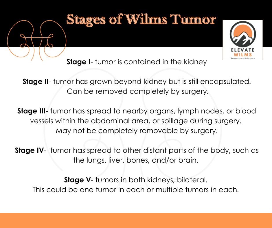 Stages of Wilms tumor. Pediatric kidney cancer. Elevate wilms.