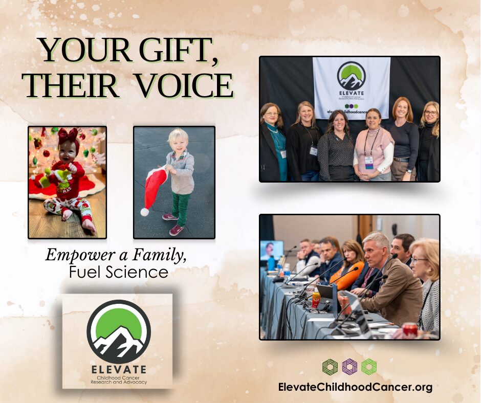Giving Season, Elevate Childhood Cancer, Your Gift, Their Voice fundraiser. Childhood Cancer.