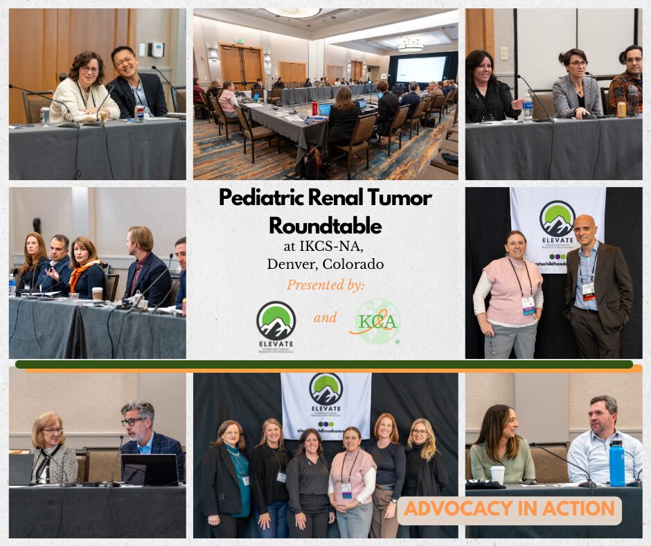 Collaborative Pediatric Renal Tumor Roundtable promoting advocates to speak, Wilms tumor, Rhabdoid tumor, childhood cancer advocacy and research.